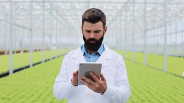 Pantolon sağlık sınamak ve Tablet ile verileri çözümlemek için ziraat mühendisi ot tablet bilgisayar çalışan beyaz önlük giyen sera içinde
