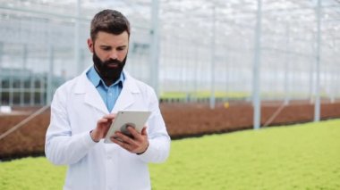 Pantolon sağlık sınamak ve Tablet ile verileri çözümlemek için ziraat mühendisi ot tablet bilgisayar çalışan beyaz önlük giyen sera içinde