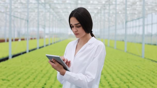 温室的农业工程师穿着白大衣工作在平板电脑上测试裤的健康状况并用片剂分析数据 — 图库视频影像