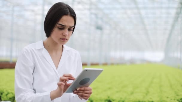 Ingénieur agricole en serre vêtu d'un manteau blanc travaillant sur tablette pour tester la santé des pantalons et analyser les données avec tablette — Video