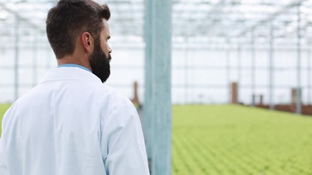 Zemědělský inženýr analyzování rostliny ve skleníku. Agronom v skleníkových nosí bílý plášť pracovní ot tabletový počítač — Stock video