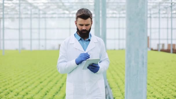 농업 엔지니어에 있는 분석 식물 온실. 농업 경제 학자 온실 입고 있는 흰색 코트 ot 태블릿 컴퓨터 작업 — 비디오