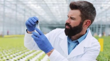 Adam bir Erlenmeyer flask ayakta sera içinde yeşillik probe alır