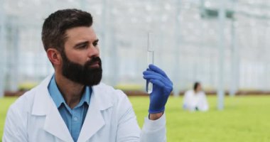 Düşünceli adam araştırmacı ile bitkiler sera içinde önce ayakta ve kameraya bakarak örnek bir cam tüp tutar