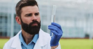 Düşünceli adam araştırmacı ile bitkiler sera içinde önce ayakta ve kameraya bakarak örnek bir cam tüp tutar