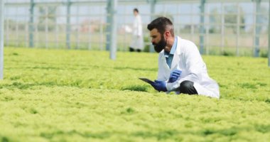 Erkek araştırmacı çalışmaları bitkiler sera içinde bir tablet konumu olan sakallı
