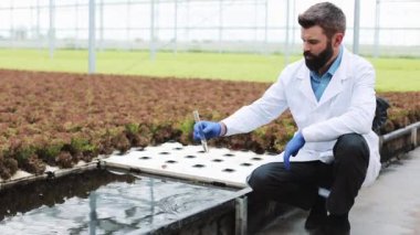 Araştırmacı bir serada oturan bir tüp su alır. Ziraat Mühendisi analizi, mühendislerimizin bitkiler yapar.