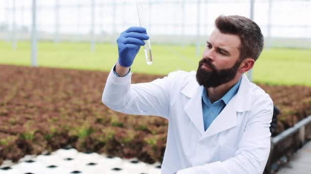 El investigador toma agua en un tubo de ensayo sentado en un invernadero. Ingeniero agrícola hace plantas de análisis — Vídeo de stock