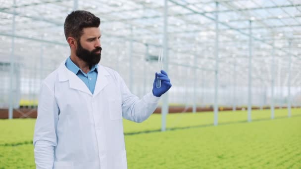 Le chercheur prend de l'eau dans une éprouvette située dans une serre et regarde dans la caméra. Portrait ingénieur agricole fait l'analyse des plantes — Video