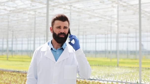 Agricultural engineer in a greenhouse using mobile, talking on smartphone — Stock Video