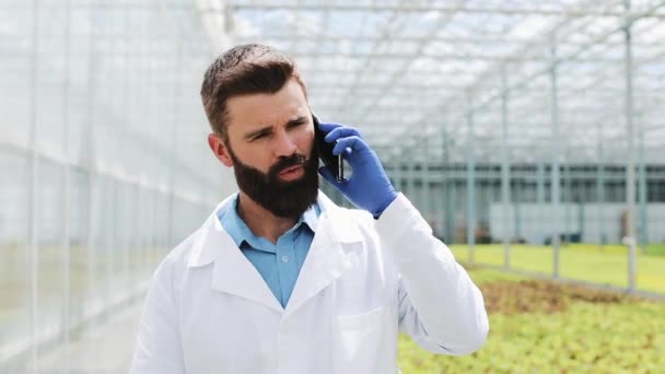 Trabalhador andando em uma estufa usando celular e falando no smartphone. Engenheiro agrícola trabalhando em estufa — Vídeo de Stock