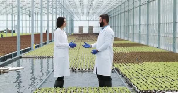 El hombre y la mujer con túnicas de laboratorio hablan entre sí de pie en el invernadero. Hacen un contrato y se dan la mano. — Vídeos de Stock