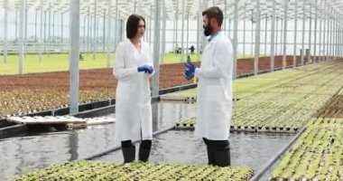 Erkek ve kadın laboratuvar cüppeli birbirlerine serada ayakta konuşun