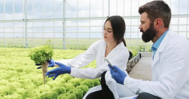 Mujer y hombre en batas de laboratorio examinan cuidadosamente las plantas en el invernadero — Vídeos de Stock