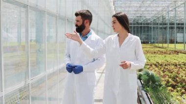 İki araştırmacı laboratuvar cüppeli sera yürümek. Onlar iş yapma başarısını tartışmak