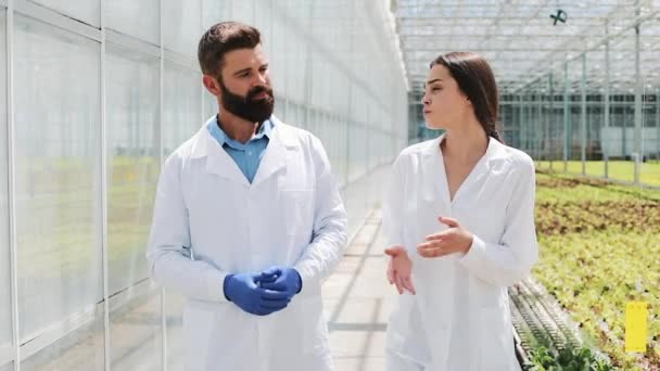 Dois pesquisadores em roupões de laboratório caminham pela estufa. Eles discutem o sucesso de fazer negócios — Vídeo de Stock