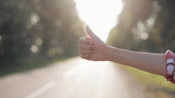 Womaan permanecer en la carretera con el pulgar hacia arriba en verano día soleado. De cerca. Hacer autostop. Viajero. Transporte. — Vídeo de stock