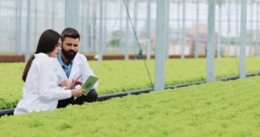 Salata sera içinde büyüyen hydroponics yöntemi. İki laboratuvar görevlileri yemyeşil bitki yetiştirme inceleyin. Tarım Tohum Sanayi