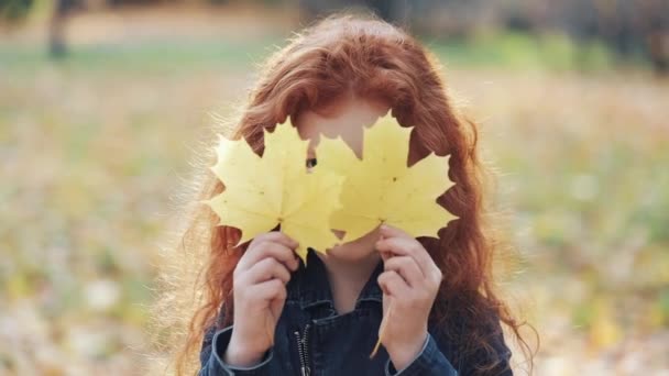 Portrait de mignonne petite rousse souriante cache ses yeux feuilles jaunes. Mignon enfant se cachant sur des feuilles jaunes. Heure d'automne 