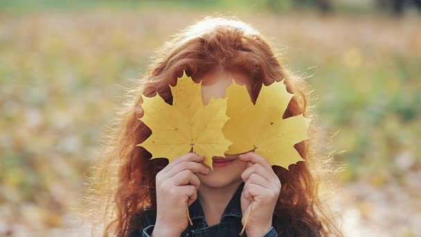 Porträtt av söt liten rödhårig flicka leende döljer hennes ögon gula blad. Söta barn gömmer sig över gula blad. Höstens tid — Stockvideo