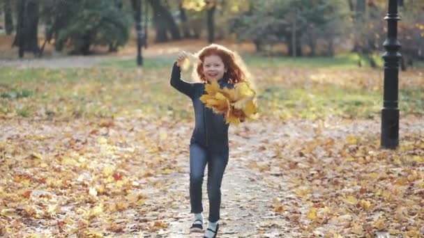 Una pequeña pelirroja linda corriendo un parque de otoño y hojas de dispersión — Vídeos de Stock