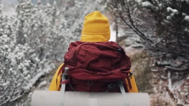 Viajar nas montanhas. Jovem vestindo roupas amarelas de inverno andando na floresta coberta de neve. Viagem, aventura, escalada. Visão traseira — Vídeo de Stock