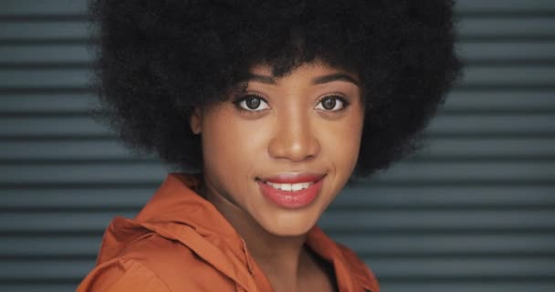 Porträt einer jungen glücklichen afrikanisch-amerikanischen Frau, die in die Kamera blickt. horizontale Rollläden Hintergrund. Nahaufnahme. — Stockvideo