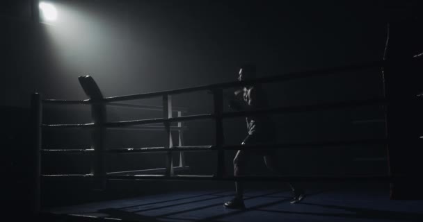 Entraînement de boxeur masculin dans l'anneau noir. Au ralenti. Silhouette. Concept de boxe . — Video