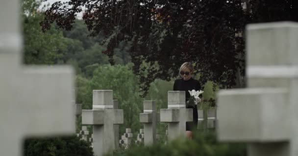 Giovane triste vedova che tiene fiori di giglio bianco al cimitero. Donna con occhiali scuri e vestiti in lutto che cammina e si ferma vicino alla tomba del marito. Concetto di giorno commemorativo. — Video Stock