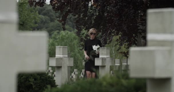 Mujer joven llevando y poniendo flores de lirio blanco en el cementerio. Viuda con gafas oscuras caminando y parando cerca de la tumba de su marido soldado. Concepto de día conmemorativo . — Vídeos de Stock