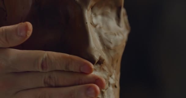Visão de perto de mãos de escultor modelando humanos cabeça de barro de cerâmica. Dedos masculinos ajustando detalhes do rosto ao criar busto de escultura no artista studio.Concept de arte e criatividade . — Vídeo de Stock