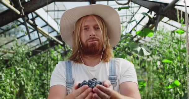 모자를 쓴 쾌활 한 사람이 블루베리를 들고 손을 뻗는 모습을 가까이서 볼 수있다. 성숙 한 수컷 농부가 베리를 주면서 웃으며 카메라를 쳐다 봅니다. 농사에 대한 개념. — 비디오