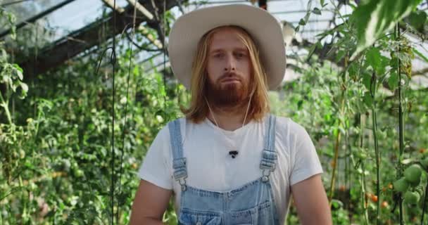 Crop kilátás jóképű férfi kalap keresztbe karját, miközben a kamera. Közelkép a szakállas férfi farmer pózol, miközben áll az üvegházban. A gazdálkodás fogalma. — Stock videók