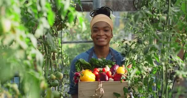 有魅力的女农民提着一盒五颜六色的蔬菜和绿叶。非洲裔美国女青年一边笑着一边看着镜头在温室里走着。食腐的概念. — 图库视频影像