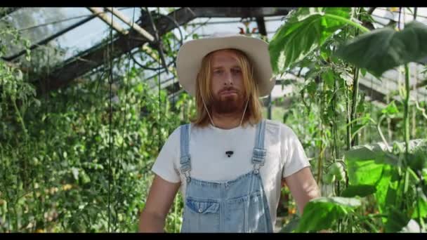 头戴礼帽的英俊男子的画像,望着照相机,微笑着.站在温室里，近距离观察留胡子的男性农民双手交叉的景象。农业的概念。放大点. — 图库视频影像