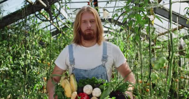 Retrato de belo agricultor masculino segurando caixa de legumes coloridos e vegetação. Homem barbudo com cabelos longos olhando para a câmera enquanto em pé em estufa. Conceito de colheita. — Vídeo de Stock