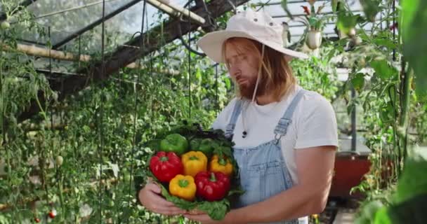 Vista Crop di bell'uomo che tiene cesto di peperoni e verde girando la testa e guardando alla fotocamera. Barbuto contadino maschio con i capelli lunghi sorridente mentre in piedi al fruttivendolo. — Video Stock