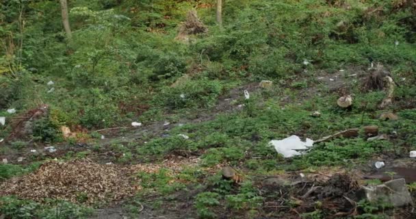 Afval wordt gestrooid door mensen in het park of bos. Begrip ecologie, milieuverontreiniging, natuurverbouwing. — Stockvideo