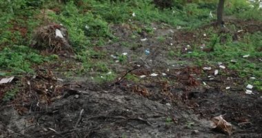Çöpler ormandaki insanlar tarafından dağıtılır. Yakınlaştır. Ekoloji kavramı, çevre kirliliği, doğa felaketi.