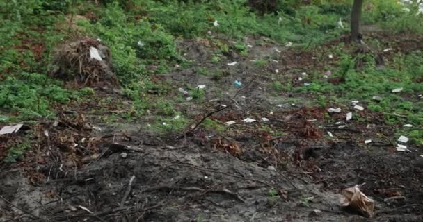 O lixo é espalhado por pessoas na floresta. Aproxima. Conceito de ecologia, poluição ambiental, catástrofe natural. — Vídeo de Stock