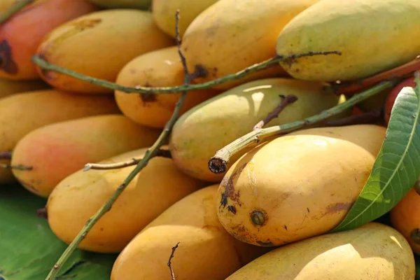 Mango Maduro Comida Callejera — Foto de Stock