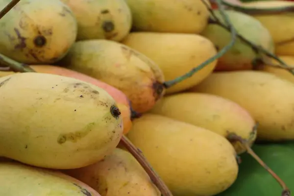 成熟的芒果在街头食品 — 图库照片