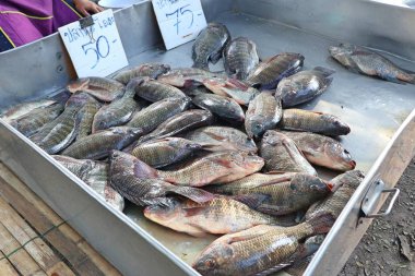 Pazarda taze balık.