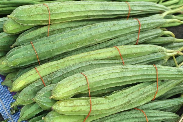 Luffa Fresco Mercado — Fotografia de Stock