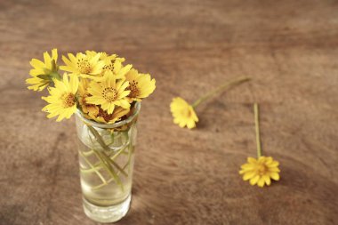 Vazoda papatya çiçekler