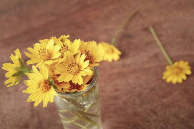 Vazoda papatya çiçekler