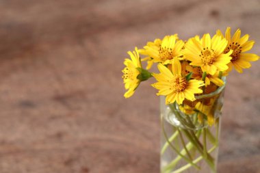 Vazoda papatya çiçekler