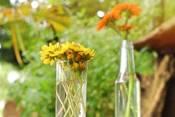 Daisy Blomster Vasen - Stock-foto