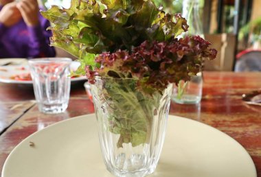 Organik marul bardak su