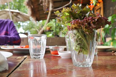 Organik marul bardak su